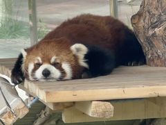 -水上乐园·欢乐世界