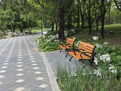 -大望京公园