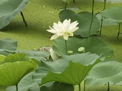-稻香湖景欢乐岛温泉城堡