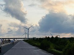 -南汇新城海滩
