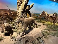 -国家自然博物馆