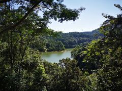 -阳台山森林公园