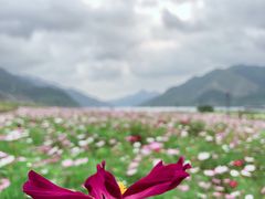 -羚羊峡古栈道森林公园