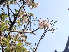 -青岛海滨风景区