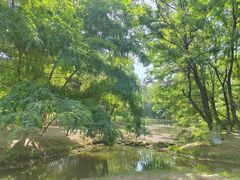 -长白岛森林公园