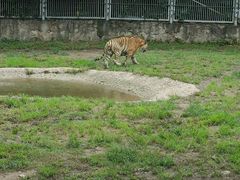 -西安秦岭野生动物园