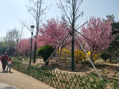 -燕郊植物园