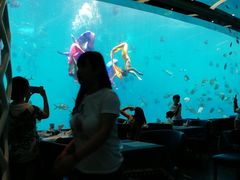 -瑞德姆美人鱼海底演艺主题餐厅(亚龙湾店)