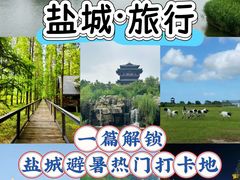 -黄海国家森林公园