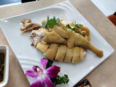 白切文昌鸡-墨脱石锅椰子鸡•香草鸭•东山羊(大东海店)