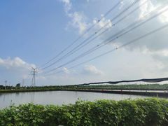 -梁鸿国家湿地公园
