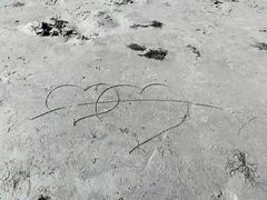 -山海关风景区-售票处