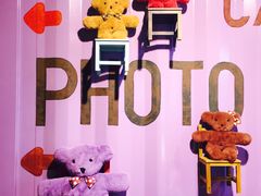 -济州岛泰迪熊博物馆