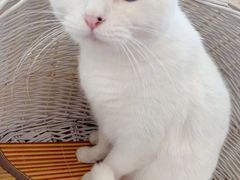 -美联众合动物医院·24h转诊中心