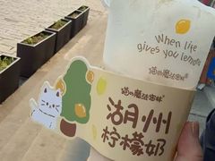 -猫的魔法密林(衣裳街店)