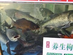 -东胜客河鲜店·西江河鲜·老字號渔家菜