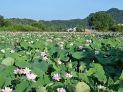 -周洛大峡谷