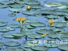 -北坞公园