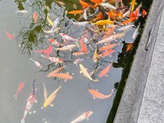 -清漾毛氏文化村