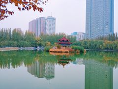 -青城公园