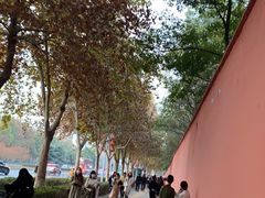 -河南省黄河迎宾馆