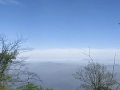 -大围山国家森林公园