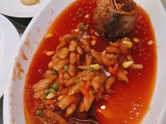 -骏莱海鲜鱼港(五角场店)