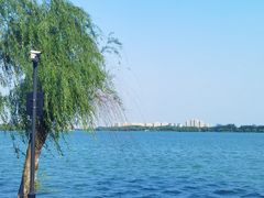 -尚湖风景区