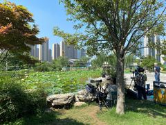 -木塔寺遗址生态公园