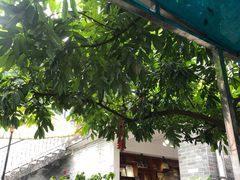 -周大娘牛乳(旧寨古村总店)