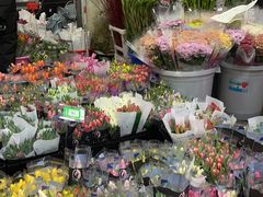 -循礼门鲜花花市(武汉循礼门店)