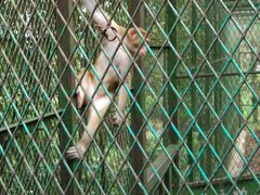 -藏龙百瀑风景区