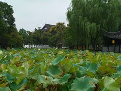 -丝绸小镇荻港古村