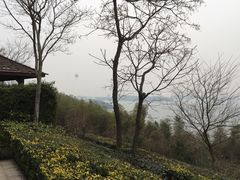 -天目湖涵田半山温泉