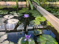 -国家植物园南园