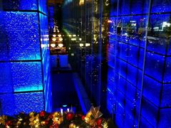 -广州天河希尔顿酒店