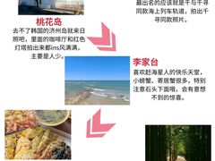 -日照海滨国家森林公园
