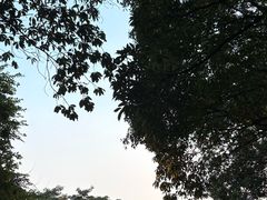 -火炉山森林公园
