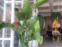 -ins森林童话餐厅coffee&bistro