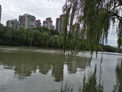 -运河游船(武林门码头)