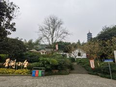 -重庆园博园