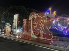 -南京银杏湖乐园