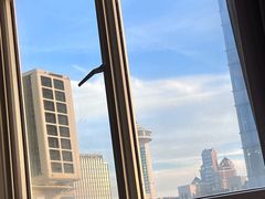 -和颐至尚酒店(上海陆家嘴浦电路地铁站店)