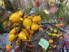 -循礼门鲜花花市(武汉循礼门店)