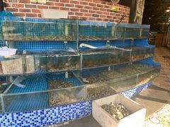 水产区-蟹谢蒸鲜自助餐厅