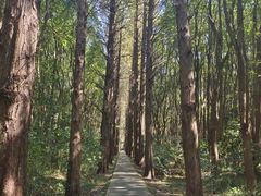 -同里国家湿地公园