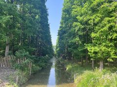 -东平国家森林公园