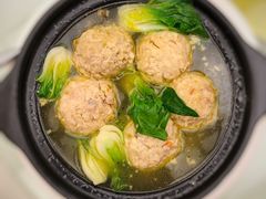 -丁老爷子苏香圆