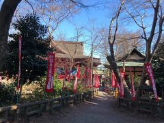 -井之头恩赐公园