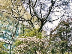 -鲍师傅糕点(虹口龙之梦店)